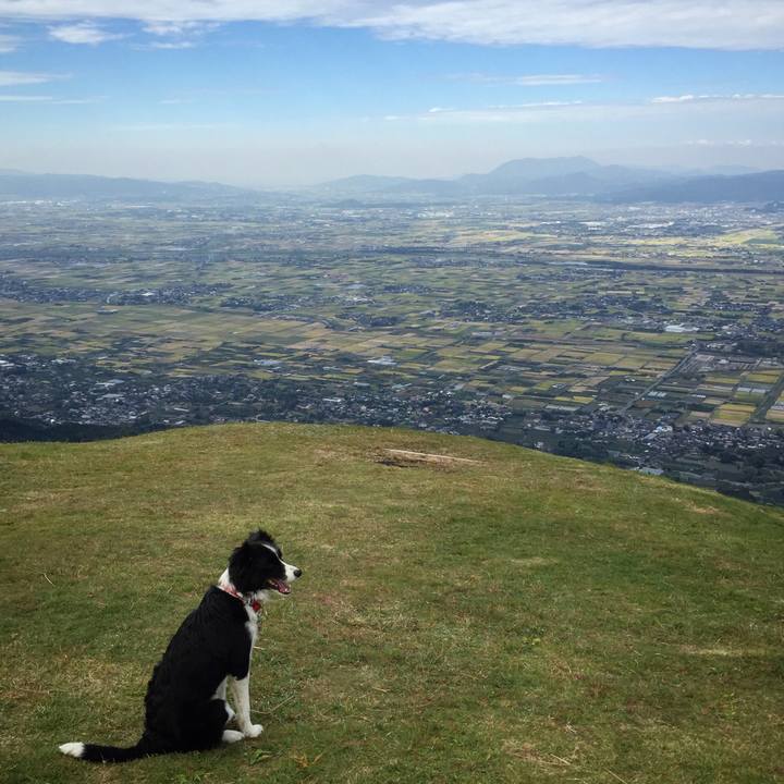 2332a9e8 f84f 4d14 b0e1 aa0f1cc7df4c