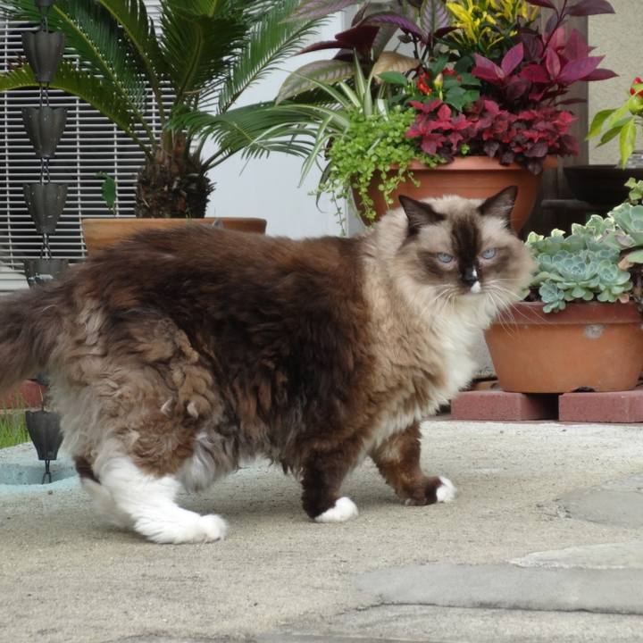 2332b4a6 9e5e 4b3a 804b 3fe49be966b5