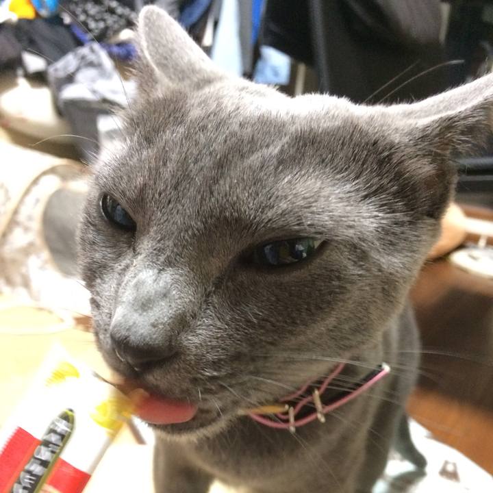 2332ba11 f6b8 4eed bce5 422385f17023