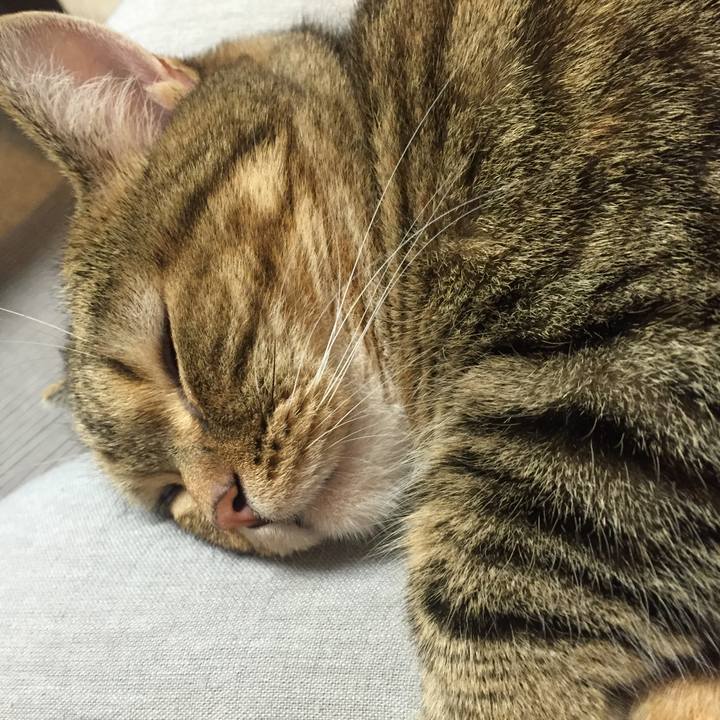 23339e97 dcae 48ba 9a55 f8b82aa4a748