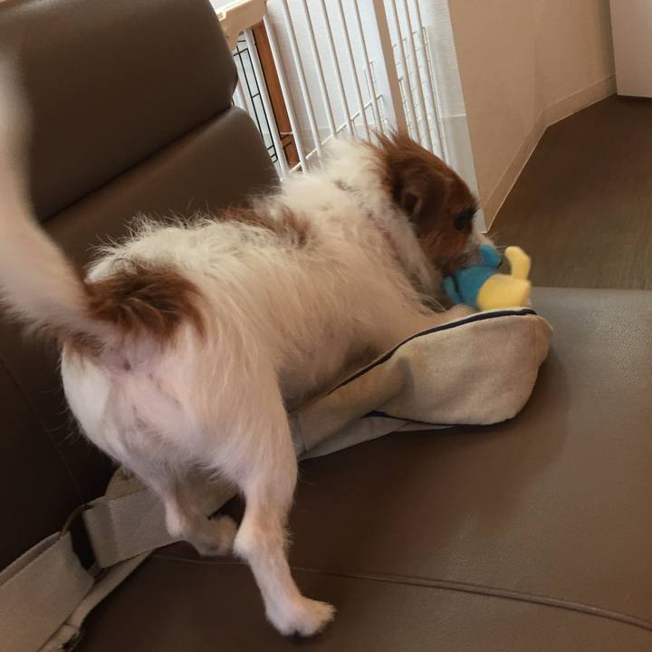 2334d3ad e4d4 46d9 bca1 8f3e4e7fedc7