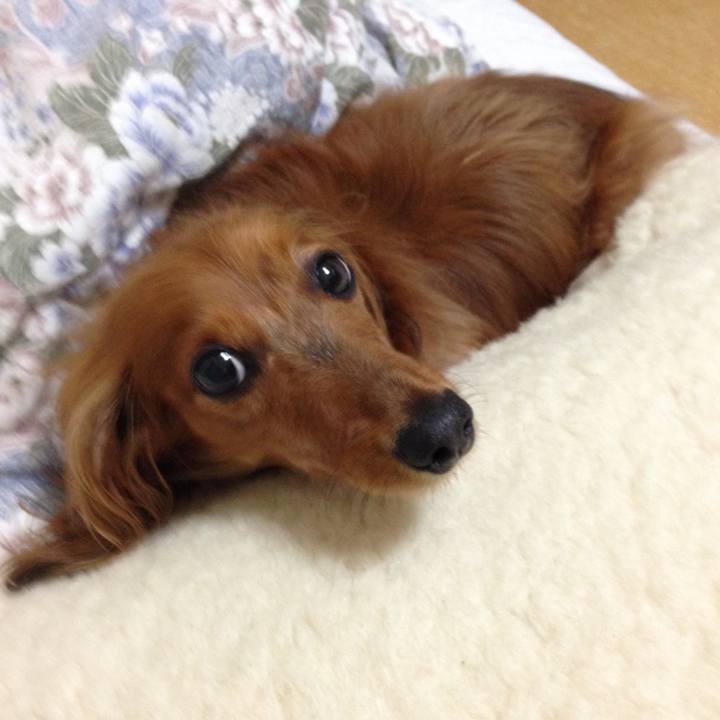 2334d7ab 75fe 4e1e b517 b7609467f213