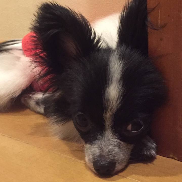 2335007d 4920 49dc 8ab3 ae483eecc157