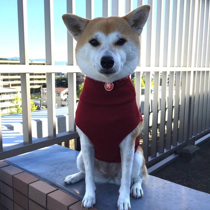 233502b9 4cb8 4f0a 8bf3 35d67a535339