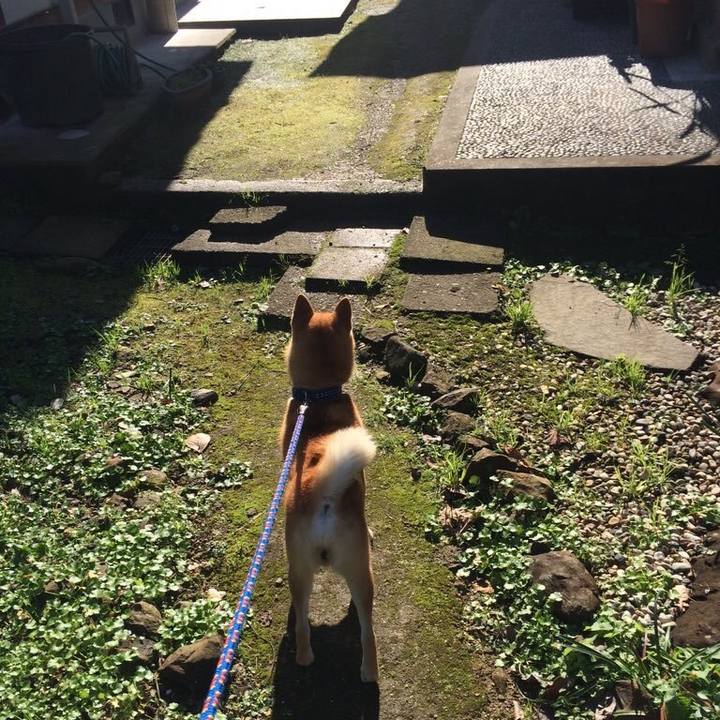 233597e5 c766 451d 9cfb 485ac21878bc