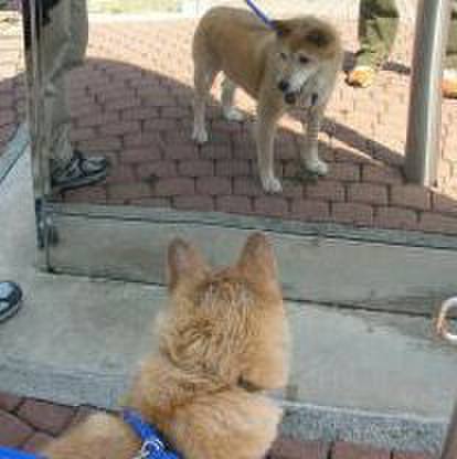 2335a2a3 9e74 492a b2c1 b5c2b032183b