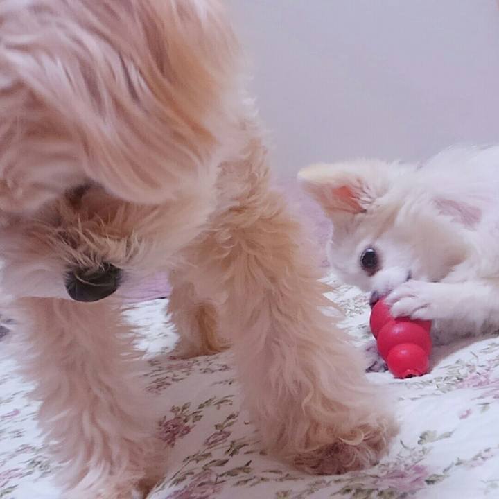 2336289c f9c1 4026 83b6 a9b613733d98