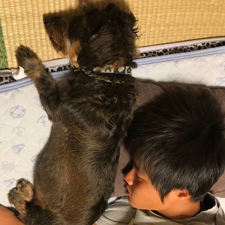 23368c0c cfaf 460f bf5e 1cb86033f36a