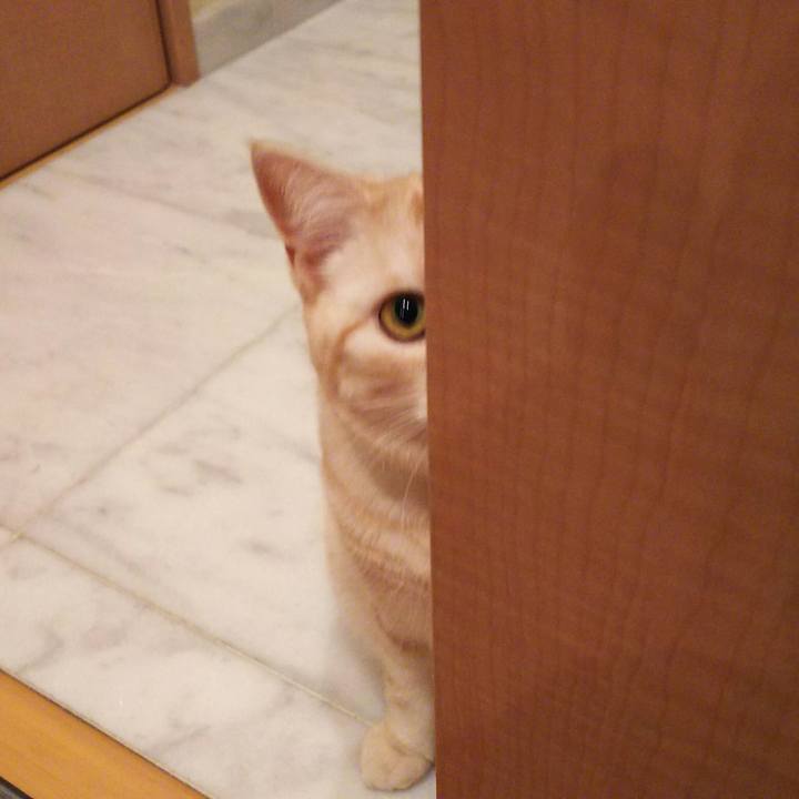 233787db fb79 4378 b45b a121feef9f65