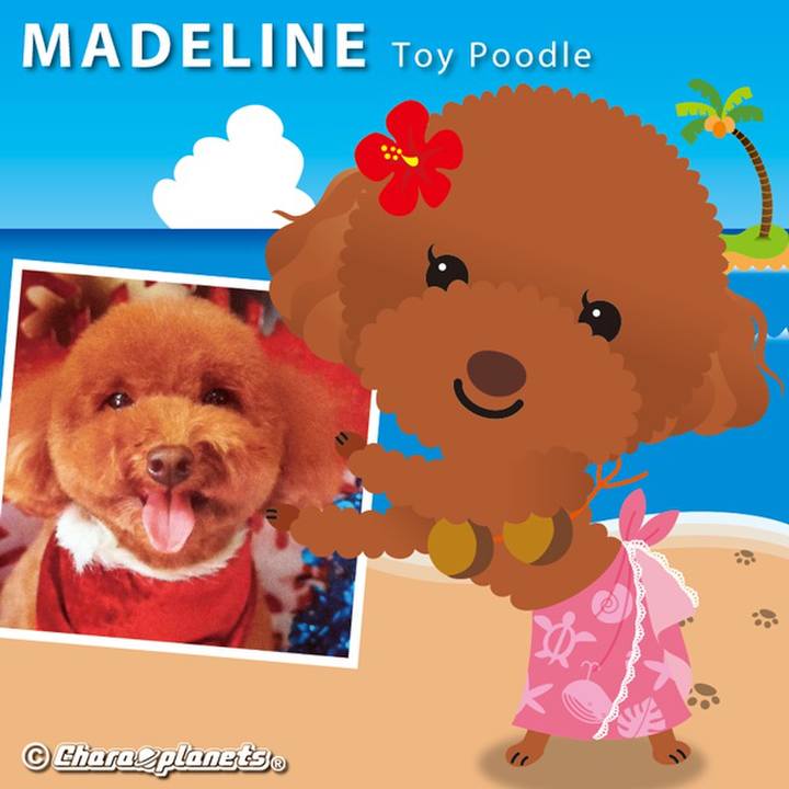 2337993d 4483 44e8 9c6a c2b1c99b8d58