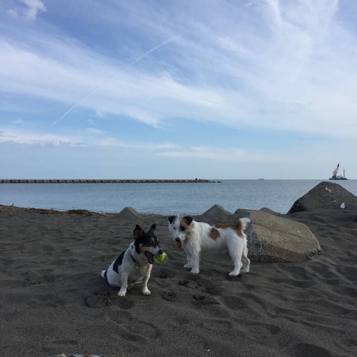 2337a2c6 2eab 4f0d 8198 9cca7e7b16b0