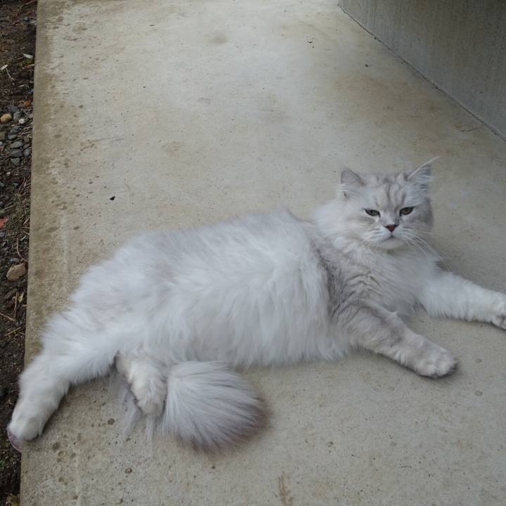 2337d55a 70e2 4b56 bfb9 623f667c3bb1