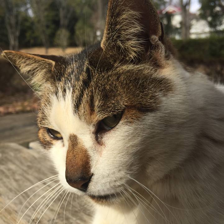 2337f9de 7a67 4c30 a93b 4b36f42c019f