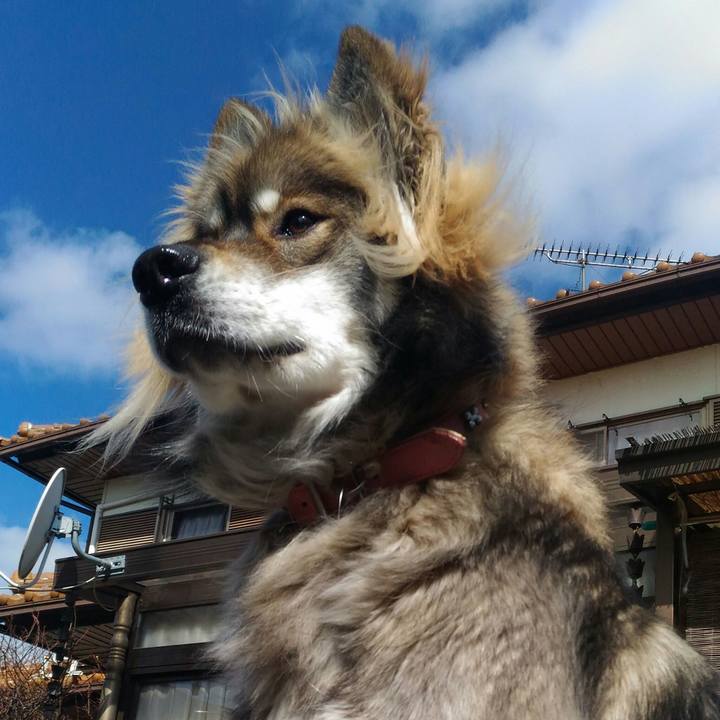 23382c6d c0cc 4272 a43c d85f7f3e6ae8