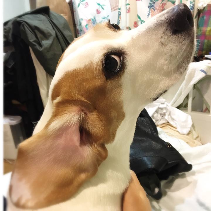 2338cf22 d157 43f3 a0ba 275c2077b397