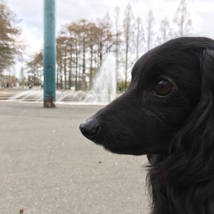 2338ed02 2bd3 400d 9cd6 28795864d2e3