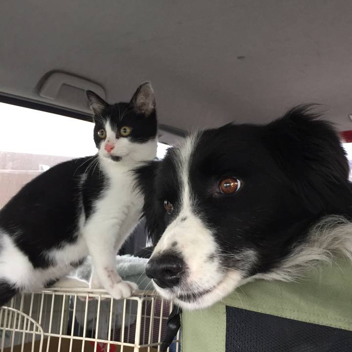 23390857 10fa 48a2 a96c c8b2b037466d