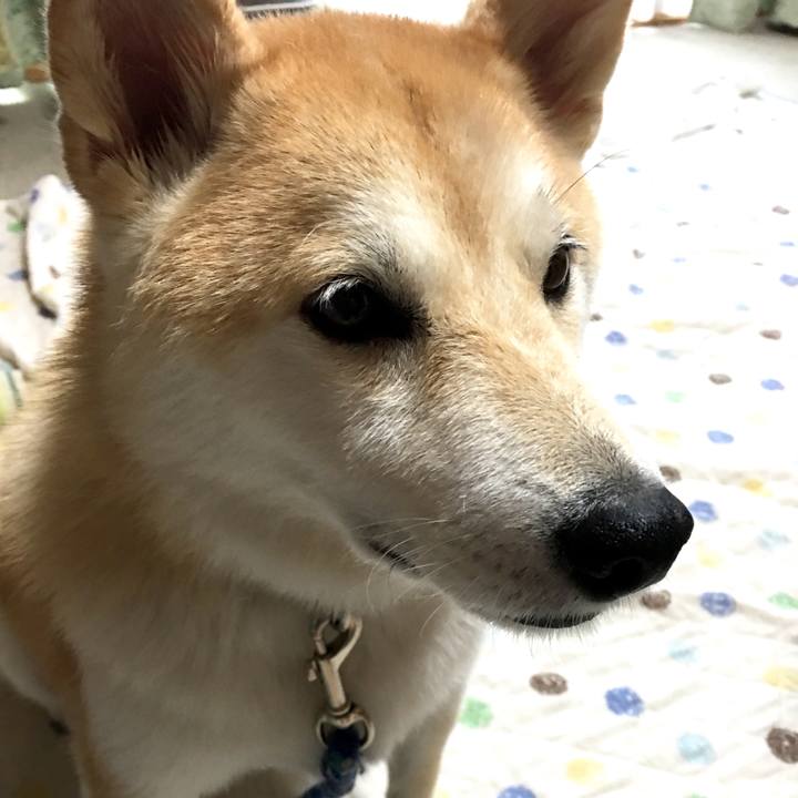 233942ab 756d 4c27 86f7 a9fa7471a90a