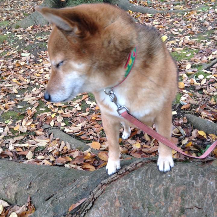 233a1ca5 37df 4ab1 b48c f29bc53aca0f