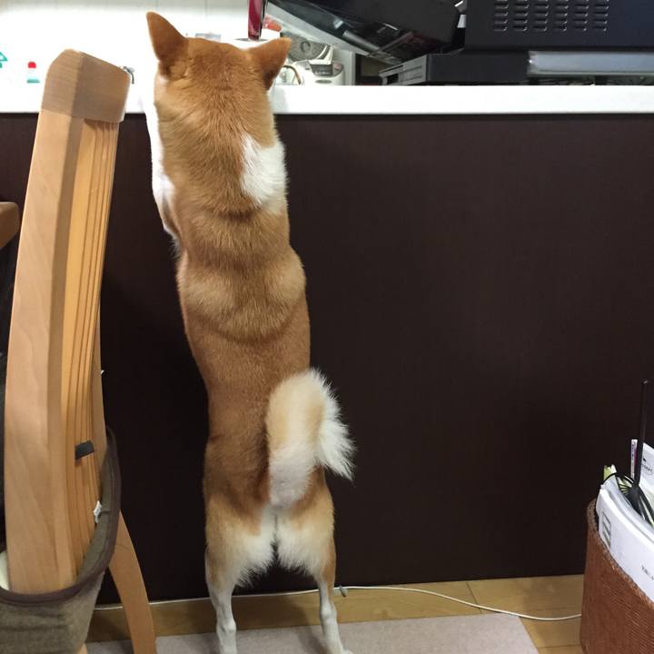 233a2f69 2714 4a3a 93be adb5e2ed7a67