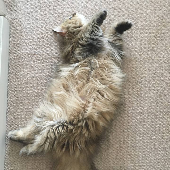 233a5e0a 91d3 4fad ac2b d1ba0fd1a49d