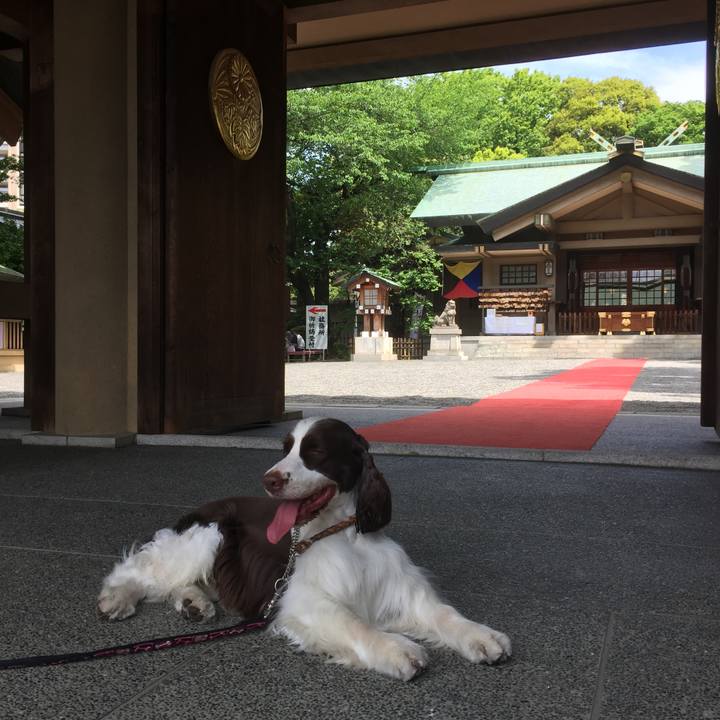 233a80a6 c69f 415b a5d8 a448279d5166