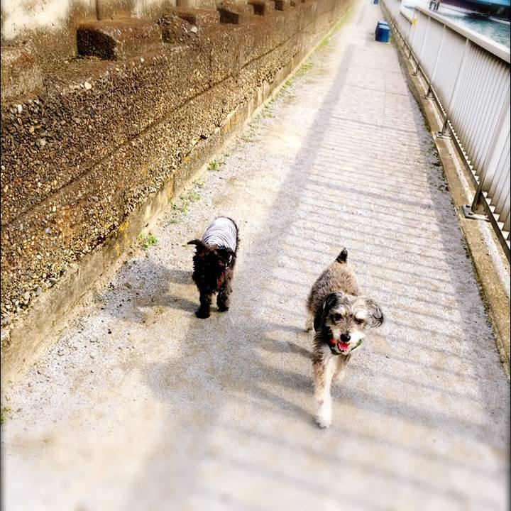 233a88ca a196 4917 91eb e4be462d8e88