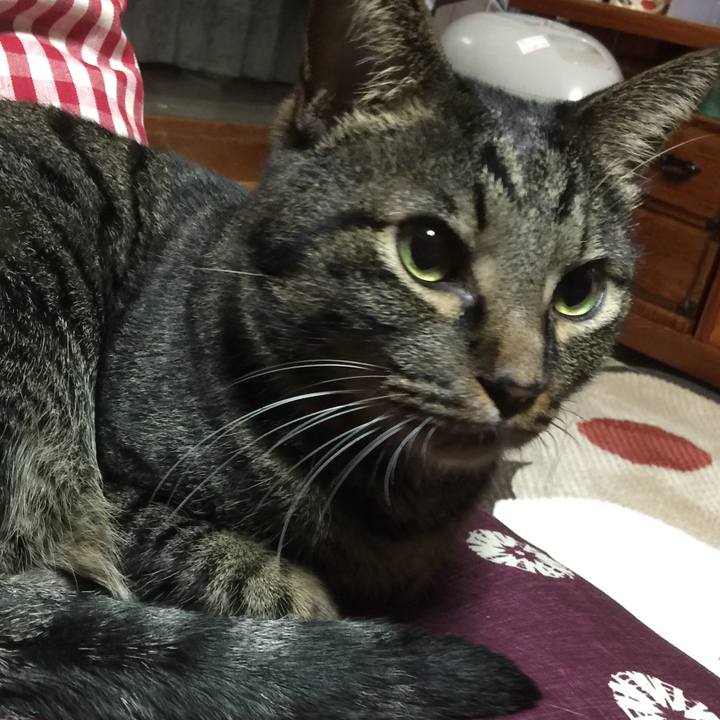 233b4df3 1edb 48e0 9696 d20f1dc5aacd