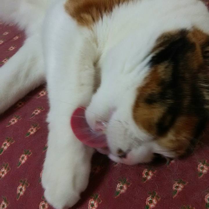 233bac76 d408 42dc 8b0a 380a7e1af061