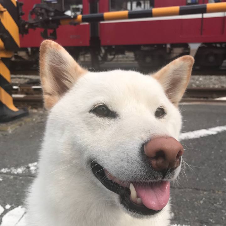 233c2c58 8b13 4139 9a8f 0ce77971d200