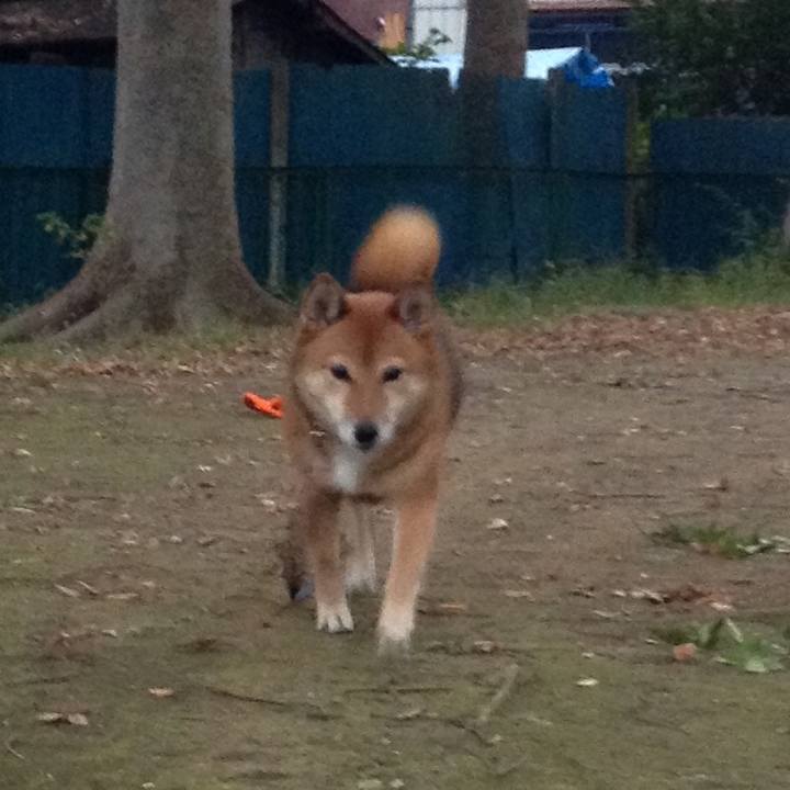 233cc96e e1a3 4f8c 93c7 8c951a09e167