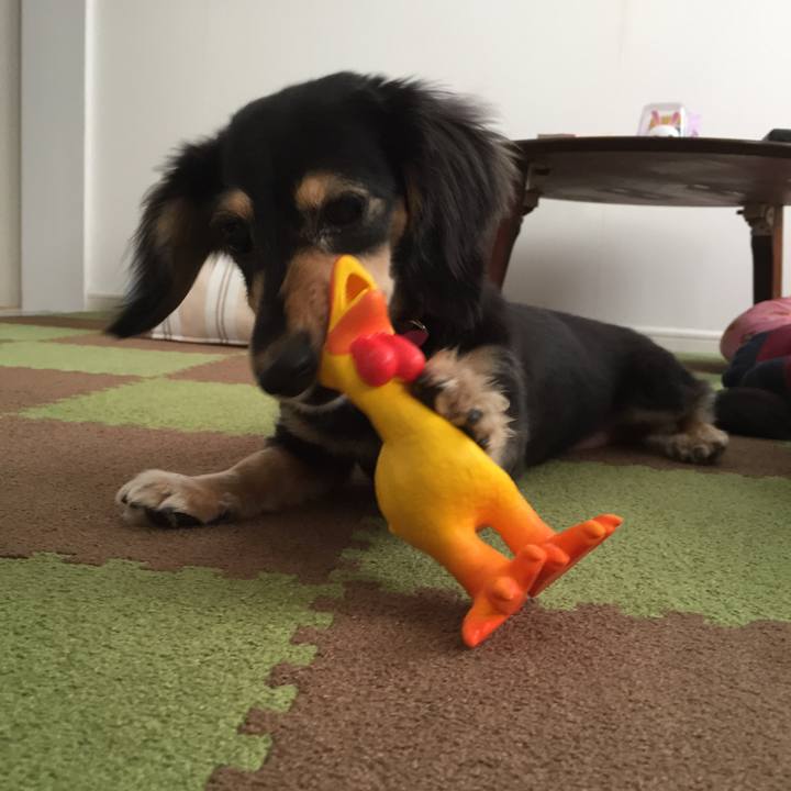 233d5b59 d766 41f1 9916 d867ffd96a27