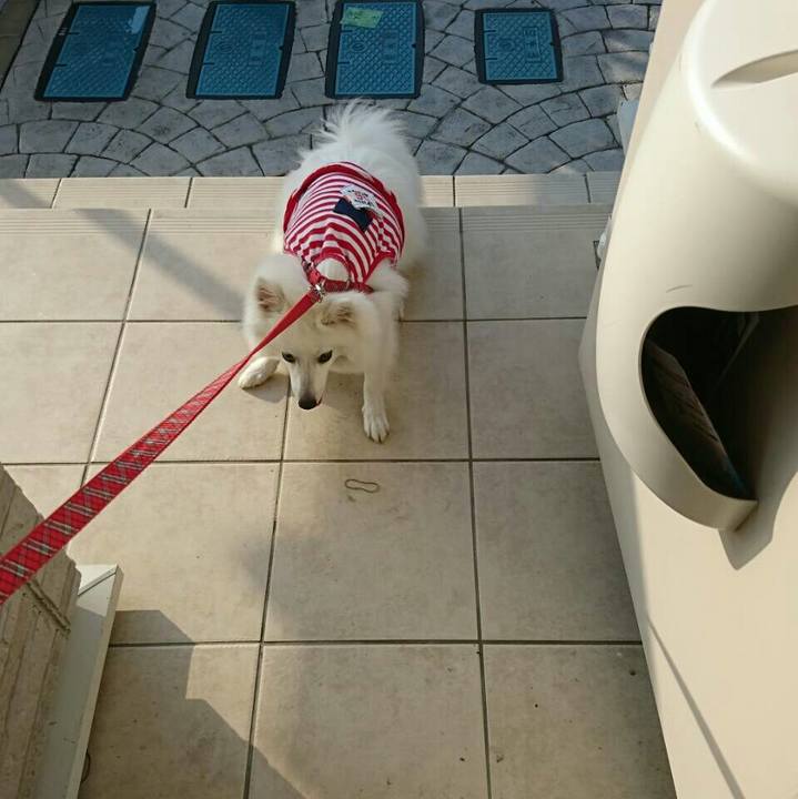 233d8b0c c9bf 4bd5 b465 5591bd512d54