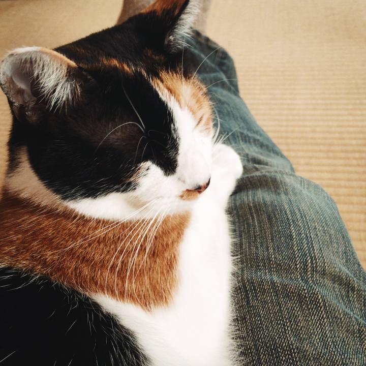 233df19a 0ec9 47c4 acba 41007d6372f1