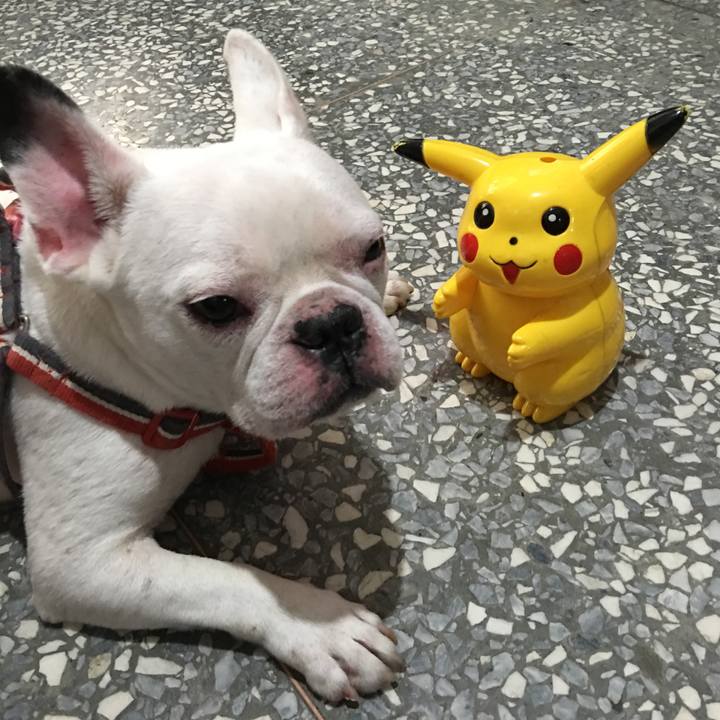 233efd4b b538 4c21 b455 94d237330770