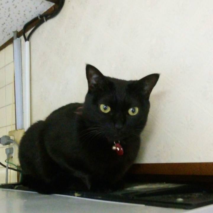 233fa83a ddf9 4cb2 9a21 6730dbeb46e1