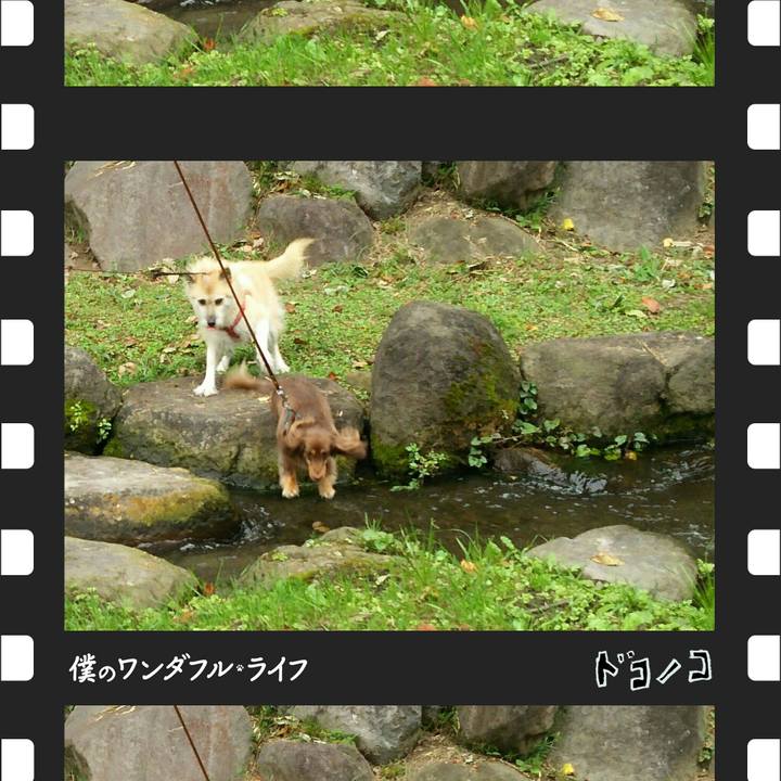 233fe316 4962 4eb8 878f 5ea3508f1fb5