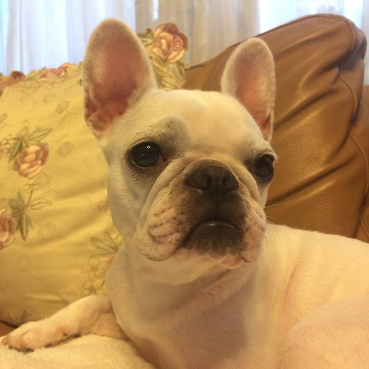 2340f5d2 6685 45fd a78e 4a5927809f44