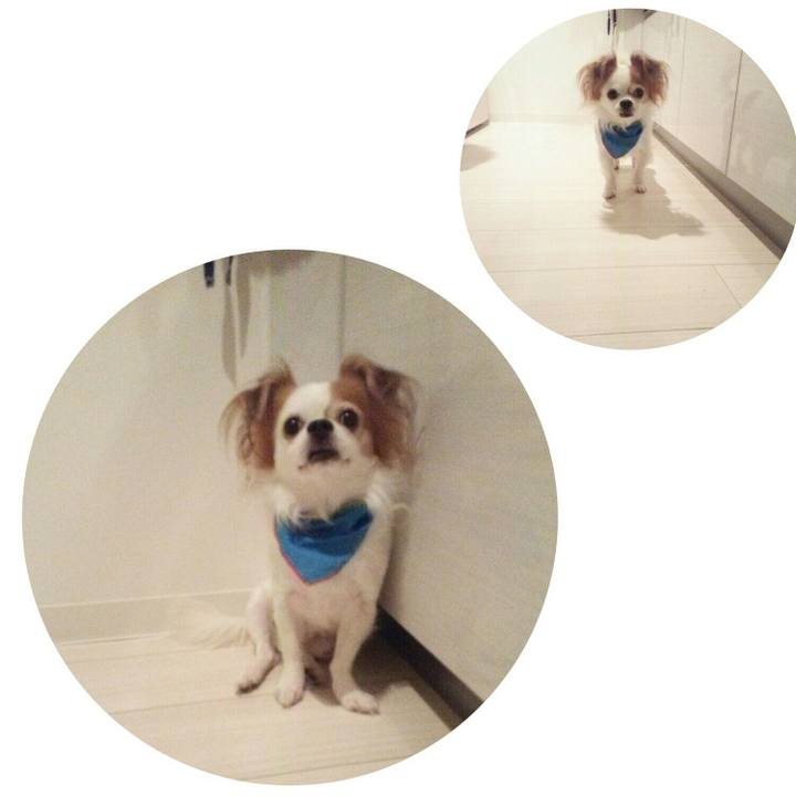 2341a2eb ac13 42f5 97b7 30b18acda46e