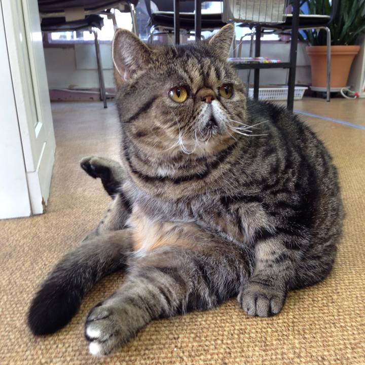 2341c45c 1e55 404e ab0d 26037cb65e43