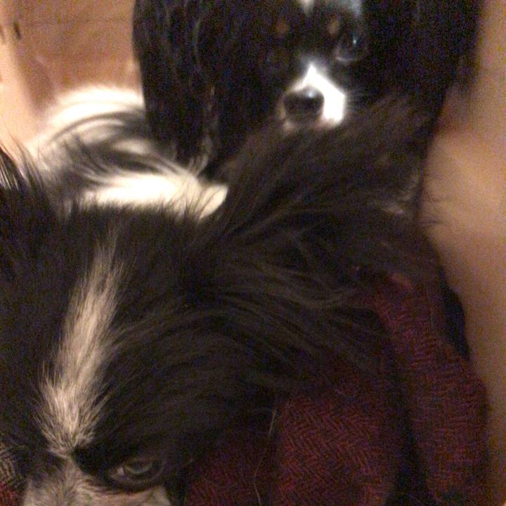 2342135f 11cb 48ca a4e7 2774ad5b7b02