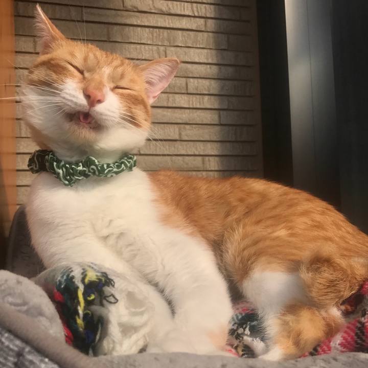 2342c9ac 23df 427d b73f cfe573eed375