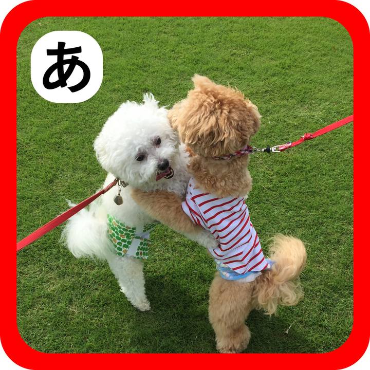 2342e565 3c1d 497b a382 f9c7b340344a