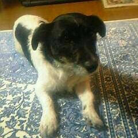 23432a82 b539 44fe b195 efeff7896c4b