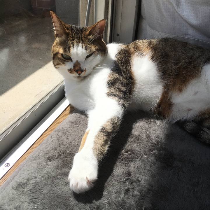 2343b9f4 0162 4bfb 9e07 e53623308fef