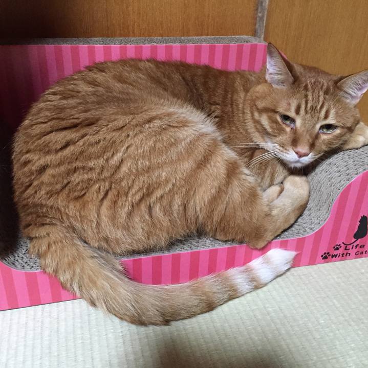 234415df 257b 4ed1 b869 5c5b17d16ee9