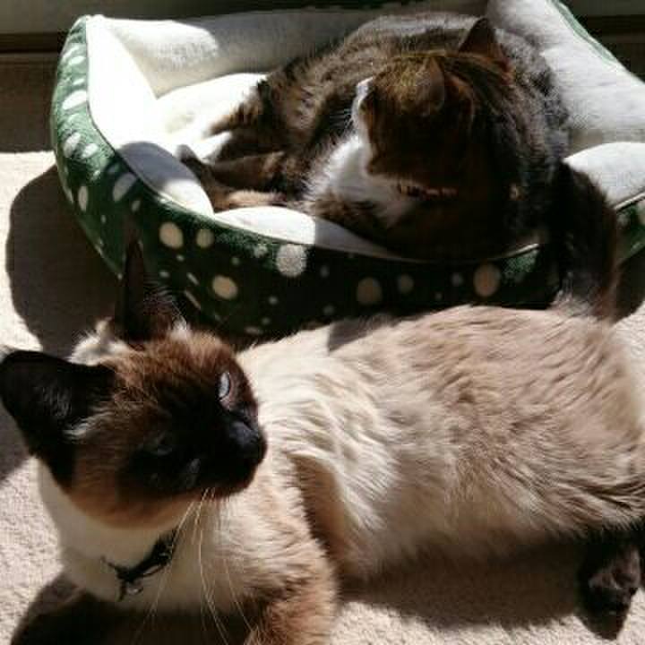 23444594 610c 419c b91b 1b9aa6e302de