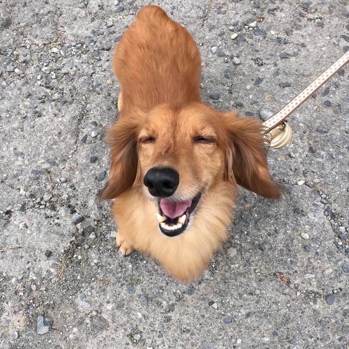 23444c68 7df8 42cd 80e7 5b2075f3adb4