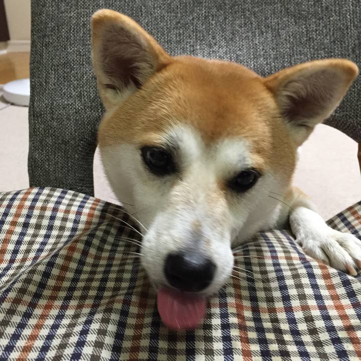 23451e6b af69 4964 97be c080e3e76dcf