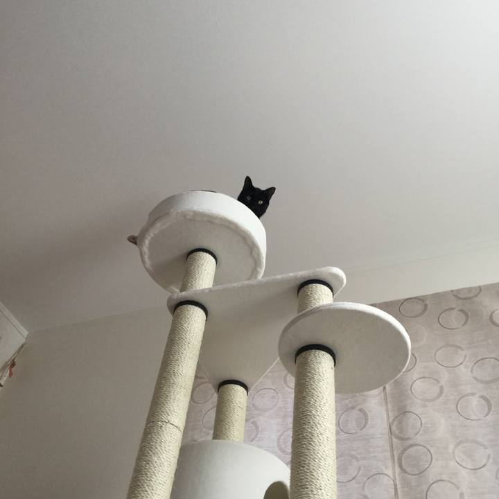 23464c84 fafb 43c7 afea afc142245fcd